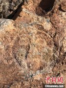 <b>澳门葡京网站 图为在青海玉树州称多县拉布乡南云社发现的人面像岩画</b>